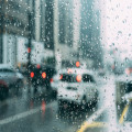 Waarom ruikt regen anders en wat veroorzaakt die typische geur?