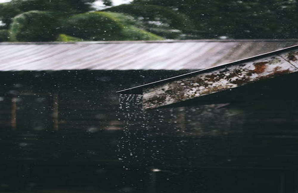 Waarom ruikt regen anders na een lange droge periode