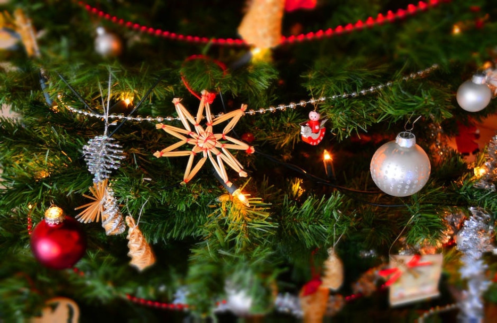 Tips voor het kiezen van een kerstboom voor je kantoor in Amsterdam