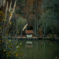 Wat kost een weekend Center Parcs met 2 kinderen in de herfstvakantie van 2026?
