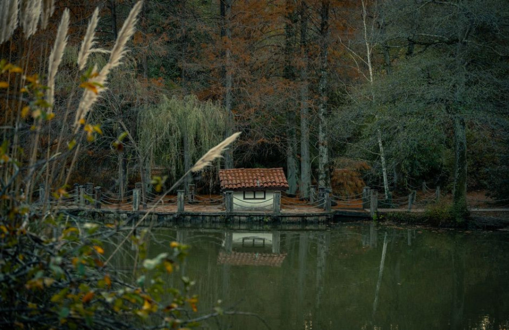 Wat kost een weekend Center Parcs met 2 kinderen in de herfstvakantie van 2026?