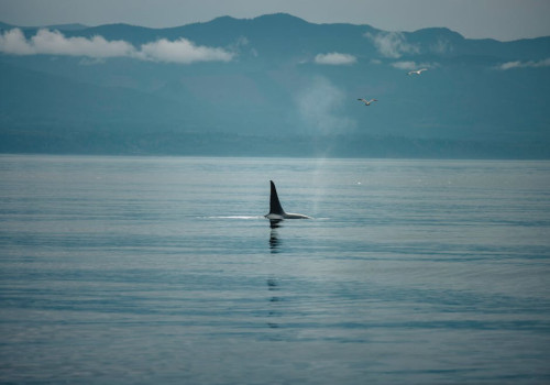 Waarom krijg je de hik en wat kun je ertegen doen