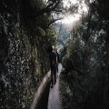 Kun je in december op Madeira nog wandelen langs de levada's en hoe warm is het dan?