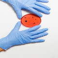 Hoe werken bacteriën in onze darmen en waarom zijn ze belangrijk?