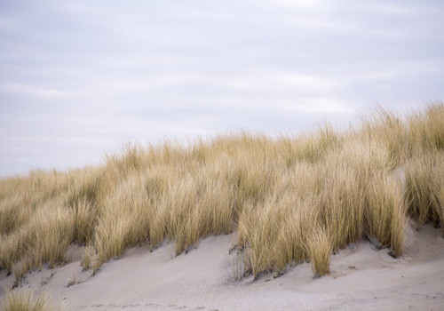 Op vakantie in ons eigen Nederland