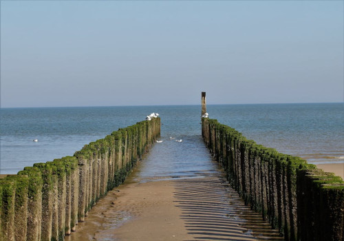 Hoe groot is Terschelling?