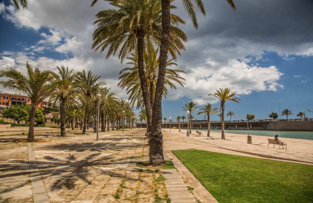 Cala Ratjada centrum: eten, terrassen en avondsfeer rond de haven